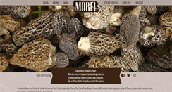 Desktop Screenshot of morelmke.com